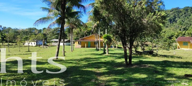 Area · Pegorelli