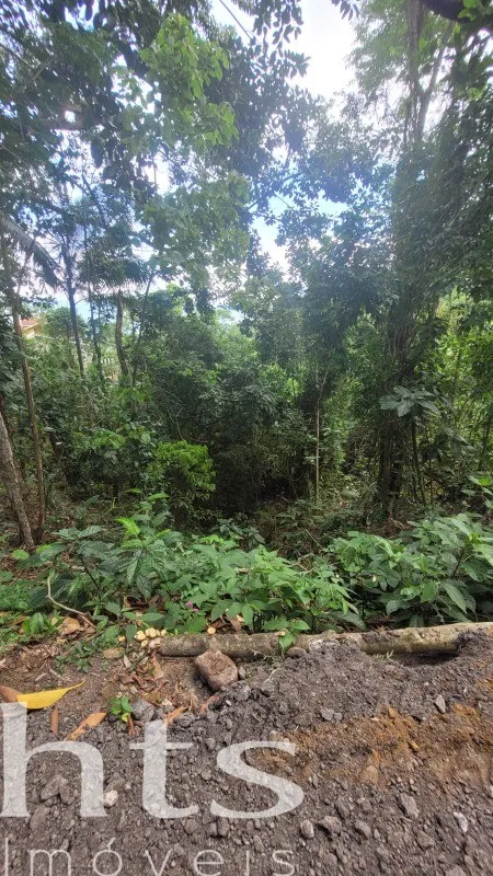 Terreno em Cigarras, São Sebastião — foto 3