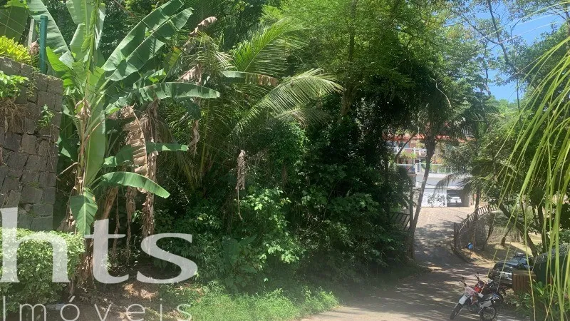 Terreno em Siriuba, Ilhabela — foto 3