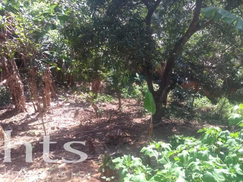 Terreno em Morro do Abrigo, São Sebastião — foto 6